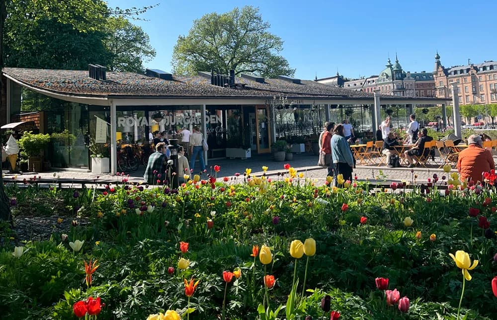 Paseo primaveral por Djurgården con árboles en flor y canal