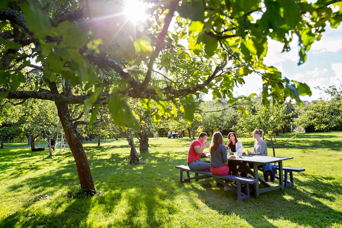 Picnic en Rosendals Trädgård en primavera